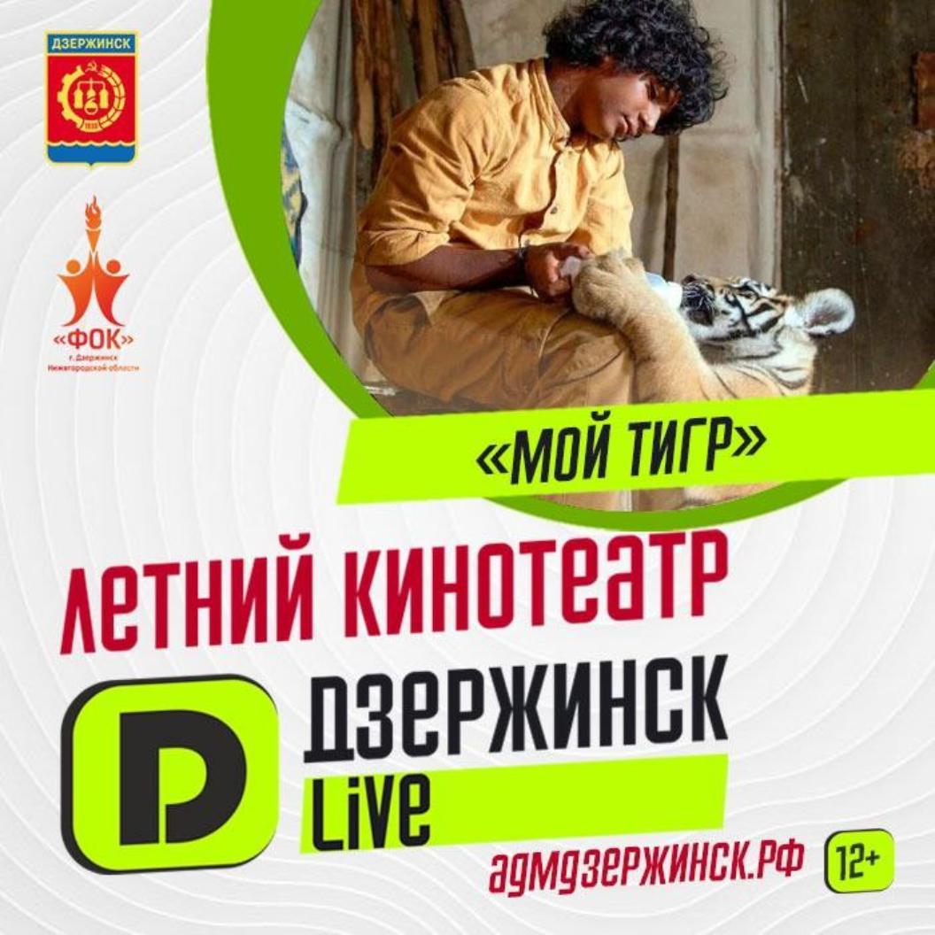 Летний кинотеатр «Дзержинск Live» | «Мой тигр» - Администрация города  Дзержинска